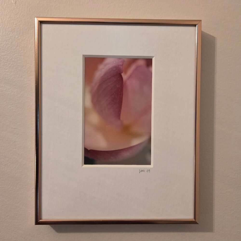 Flower Art Rose Gold Framed Photograph by Voni 2003
